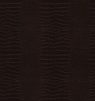coverstyl